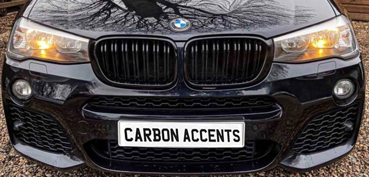 A black car displays "CARBON ACCENTS" on its front license plate. The headlights are on, and tree branches are reflected on the hood, parked on a gravel surface.
