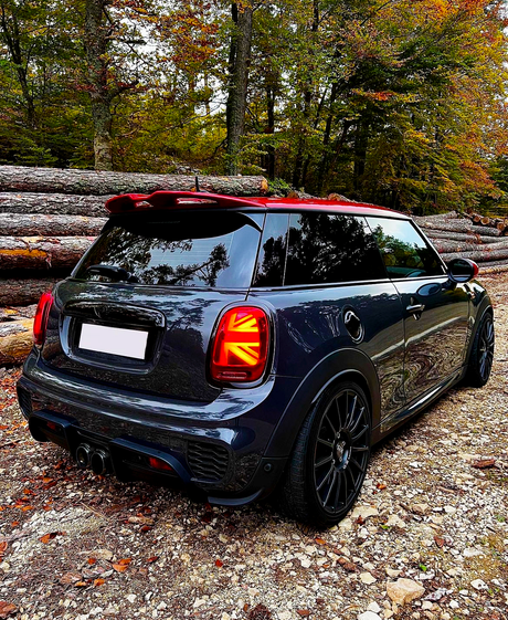 A dark-colored Mini Cooper with Union Jack tail lights is parked on a gravel path. Stacks of logs and autumn trees form the forested backdrop.