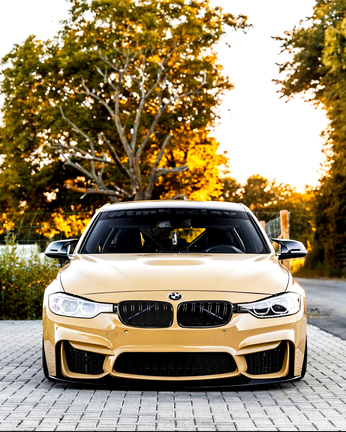 A beige sports car is parked on a paved surface at sunset, with trees and a golden sky in the background. The windshield shows text: "#timexcel".