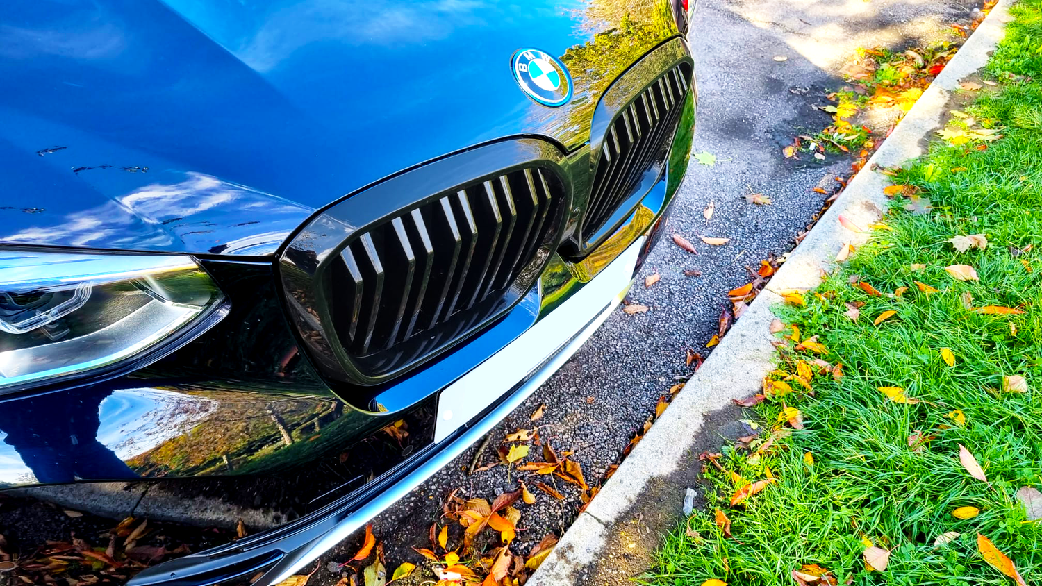 A blue car with a BMW emblem parked on a street, surrounded by autumn leaves and green grass, showcasing its black grille and headlight.