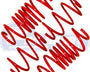Prosport 25/40mm Lowering Springs for Ford Transit Connect MK2 Facelift — full kit