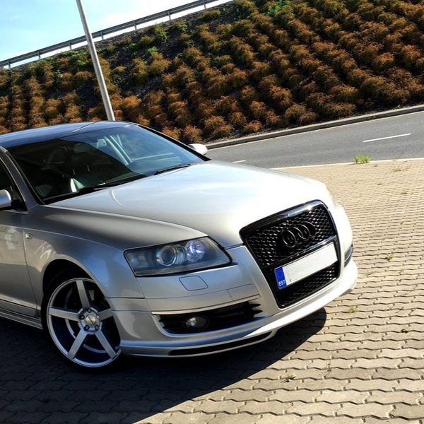 Silver car parked on a paved area with sunlight reflecting. A hillside with green and brown plants is in the background next to the road. License plate marked with “EST.”