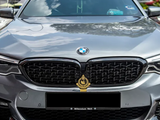 A silver BMW car is parked outdoors, displaying a gold emblem on the grille. Reflections of clouds are visible on its hood, with trees and buildings in the background. Number plate reads 