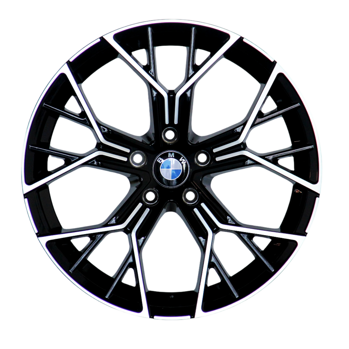 A black and silver alloy wheel features a multi-spoke design. The central hub displays the BMW logo, with the letters "BMW" encircling it. The background is white.