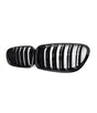 A pair of black car grilles with vertical slats, positioned side by side, set against a plain white background.