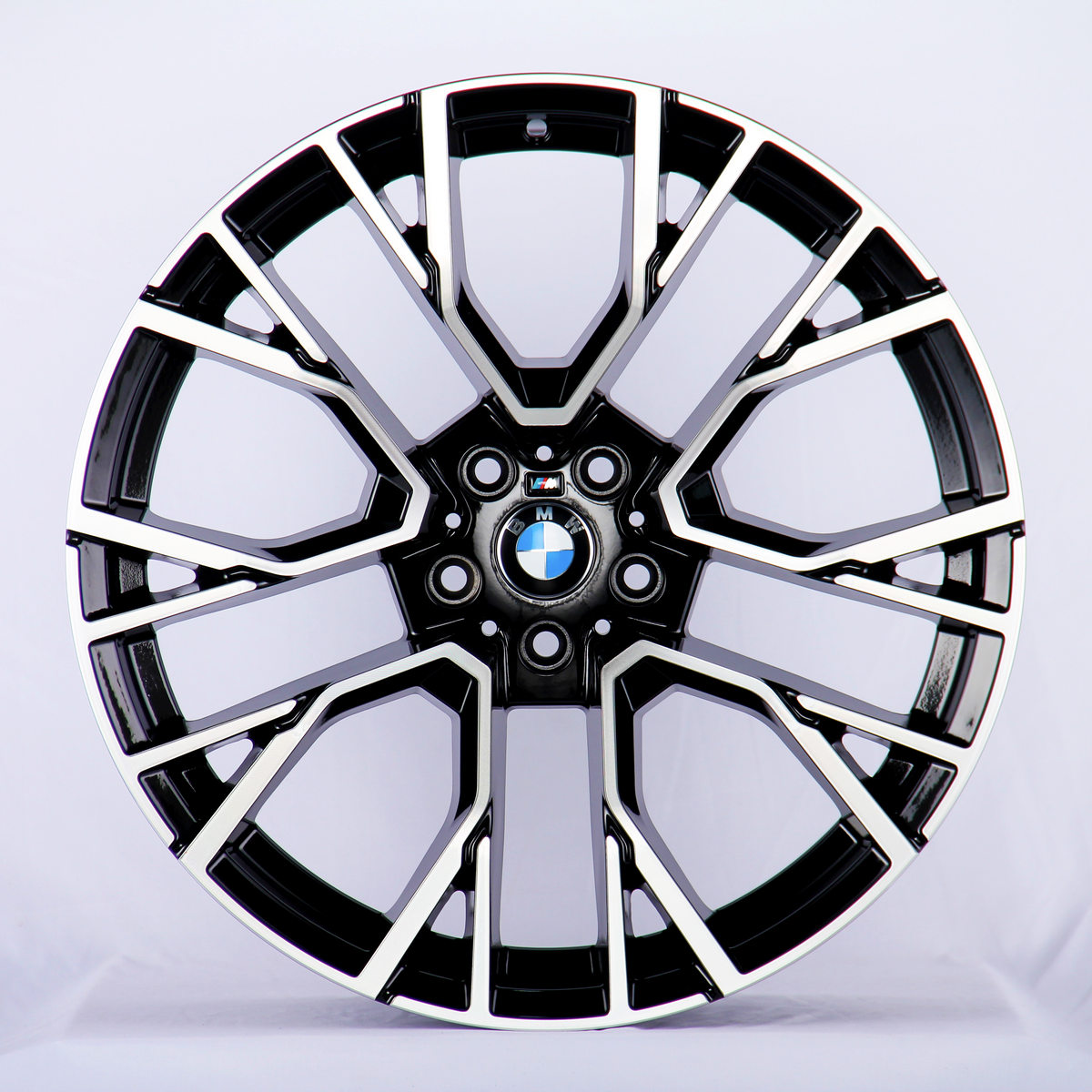 A black and silver alloy wheel features intricate spoke design with a BMW logo at the center, resting against a plain white backdrop.