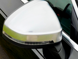 A silver car side mirror is affixed to a black vehicle, reflecting surrounding greenery. The mirror features an integrated turn signal beneath its polished surface.