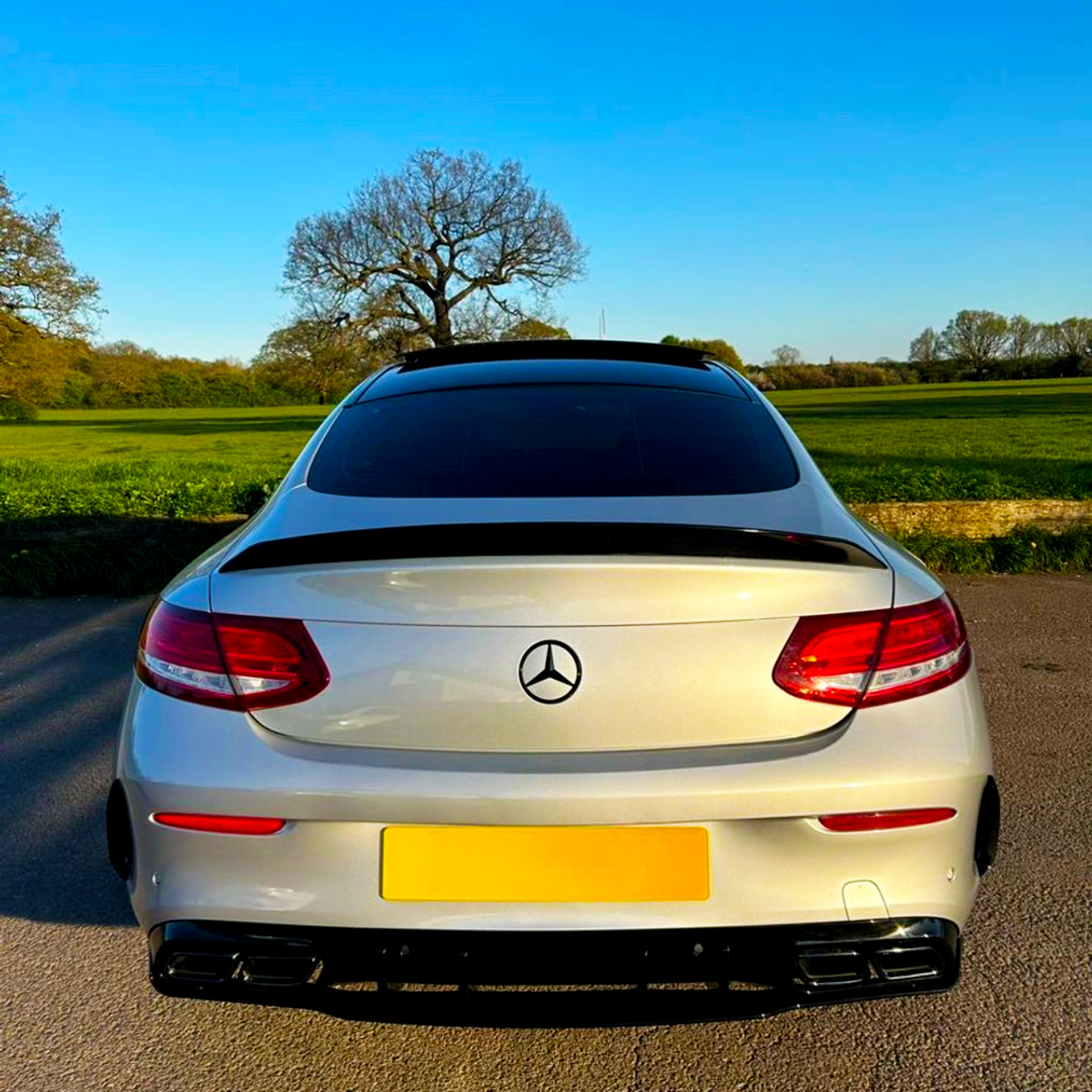 A silver Mercedes-Benz car is parked on a road, facing away. The context is a scenic countryside with green fields and a leafless tree under a clear blue sky.