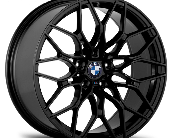 A black alloy wheel features intricate spoke design and displays a "BMW" logo at the center, resting against a white background.