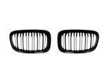 Two black, oval-shaped car grilles with vertical slats sit side by side against a plain white background, suggesting automotive components for vehicle front ends.