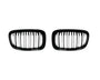 Two black, oval-shaped car grilles with vertical slats sit side by side against a plain white background, suggesting automotive components for vehicle front ends.