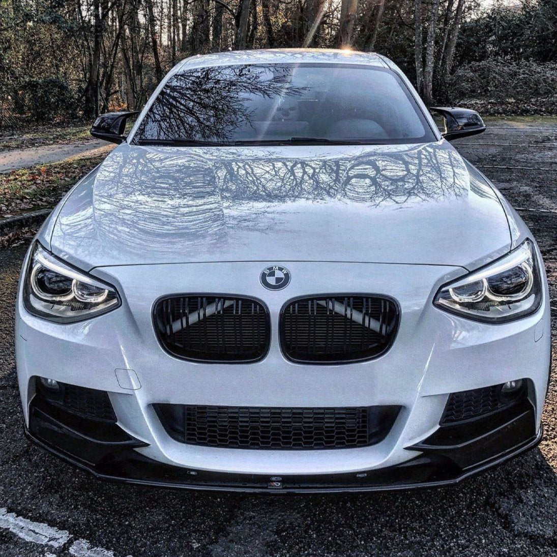 A white BMW car is parked on asphalt, with sunlight reflecting on the hood. Bare trees and foliage surround the area, casting shadows on the vehicle.