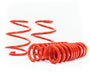 M3 - G80/G81: Cobra Lowering Springs 30/15mm