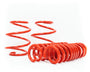 M5 Touring - G99: Cobra Lowering Springs 25/15mm