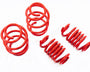 Multivan T5 - 7HM: Cobra Lowering Springs 40/35mm