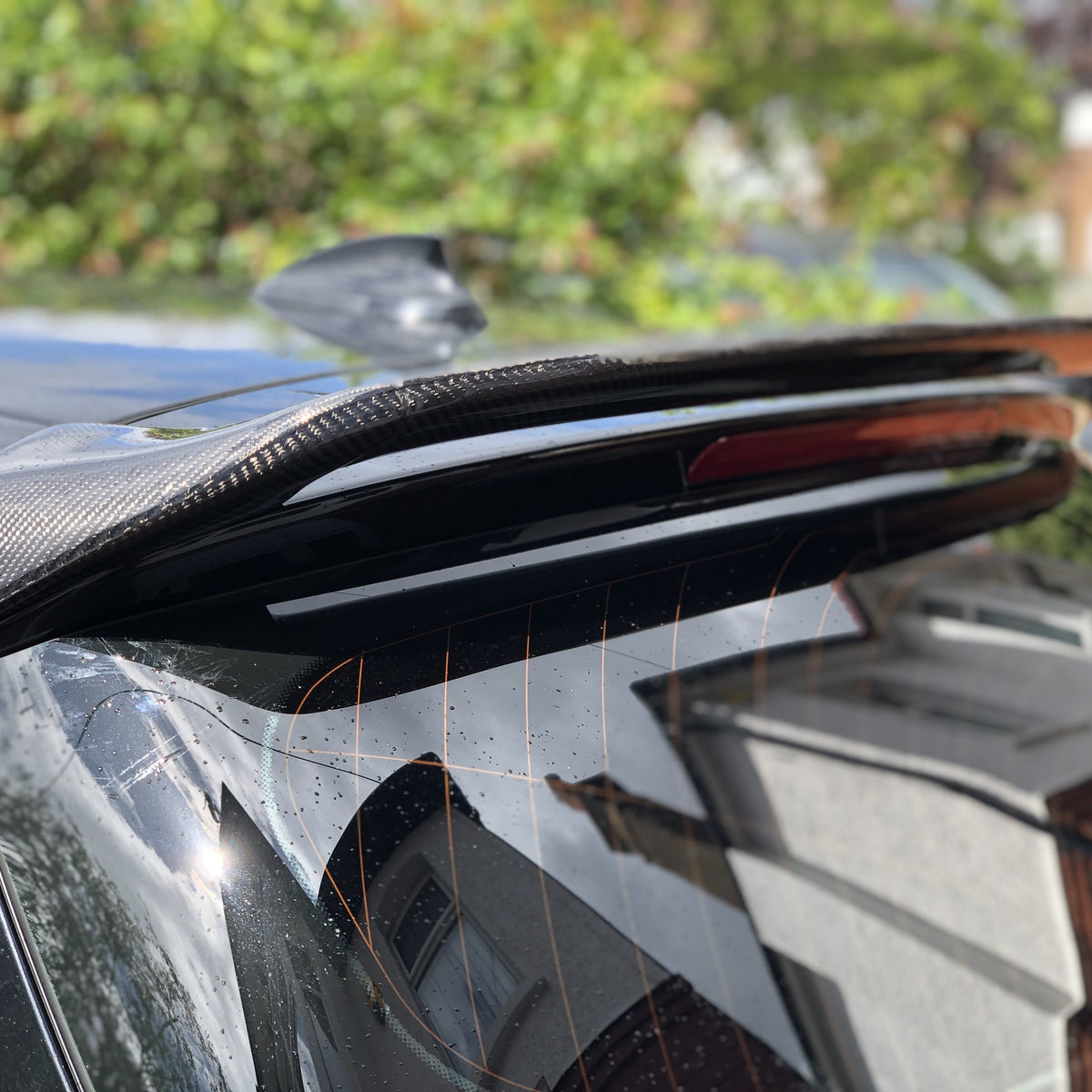 A carbon fiber car spoiler is attached to the rear of a black vehicle, glistening in sunlight. In the background, residential houses and greenery are slightly blurred.