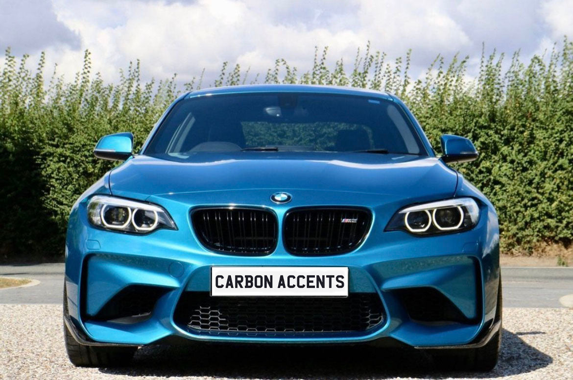 A blue sports car is parked on a gravel driveway, facing forward, with "CARBON ACCENTS" on the front license plate. Green hedges and a cloudy sky provide the backdrop.