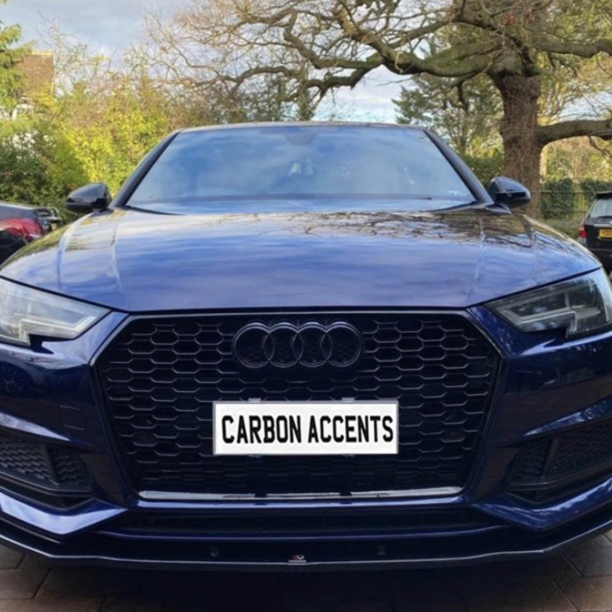 A blue Audi car is parked, facing forward. Its grille displays the text "CARBON ACCENTS." Trees and other cars fill the background.