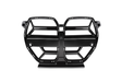A glossy black car grille featuring a distinctive double kidney design with multiple sections divided by horizontal and vertical bars, set against a plain white background.