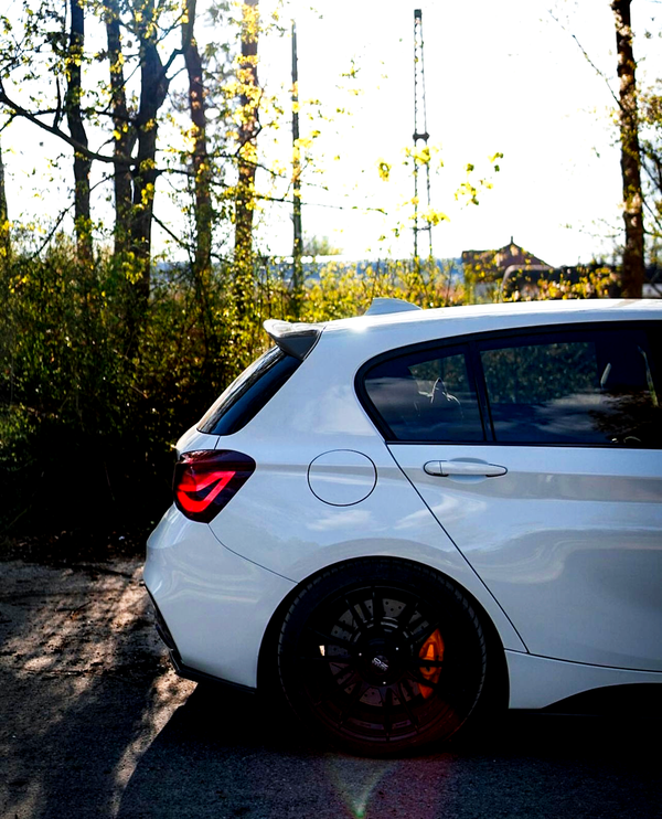 A white car is parked on a sunlit road, with illuminated red taillights and black wheels. Tall trees and sparse vegetation surround the area, creating a natural backdrop.