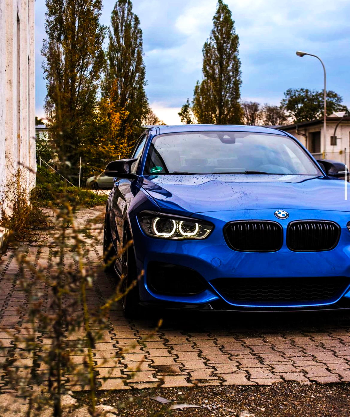 1 Series - F20/F21 Facelift LCI: Gloss Black Double Slat Grill 15-19