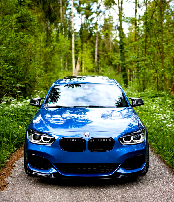 A blue car is parked on a narrow path, surrounded by lush greenery and tall trees in a forest setting.