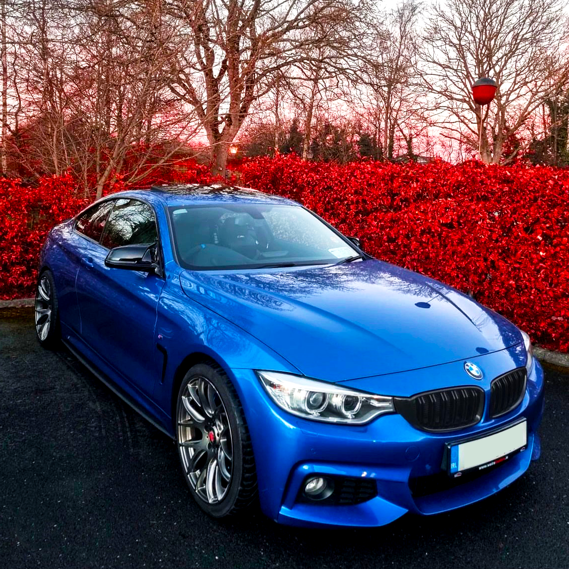 A blue sports car is parked on a dark road, surrounded by vibrant red bushes and bare trees under a pink sky at dusk.