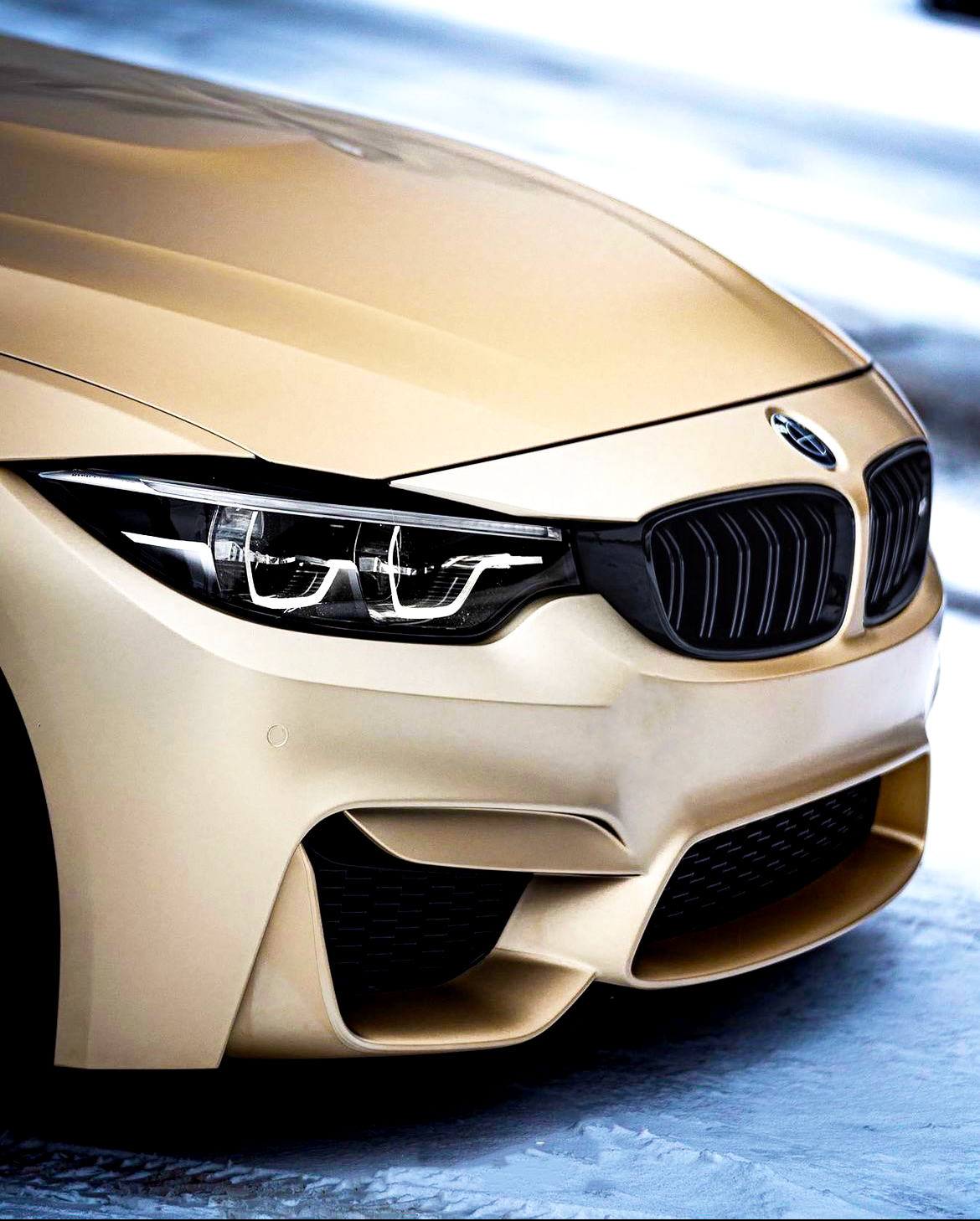 4 Series - F32/F33/F36: Gloss Black Double Slat Grill 14-20