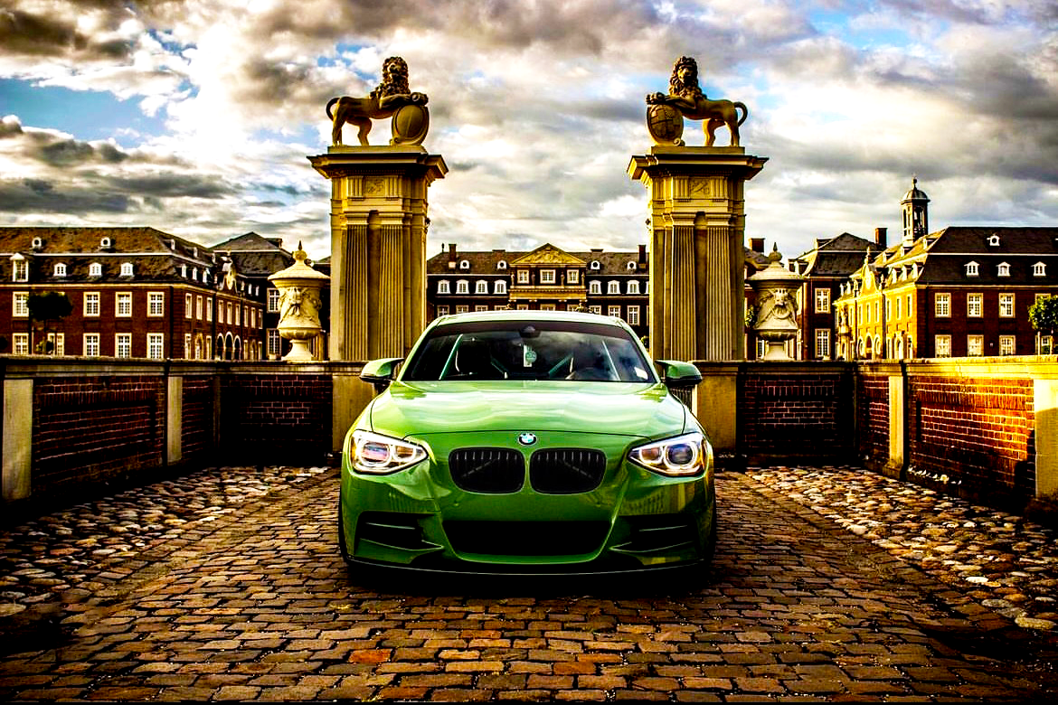 1 Series - F20/F21 Pre-Facelift: Gloss Black Single Slat Grill 11-14