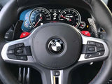 Steering wheel displaying BMW logo, with control buttons surrounding it; dashboard in background shows speedometer and tachometer gauges; exterior scenery visible through windshield.